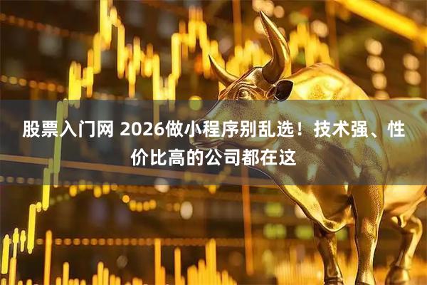 股票入门网 2026做小程序别乱选！技术强、性价比高的公司都在这